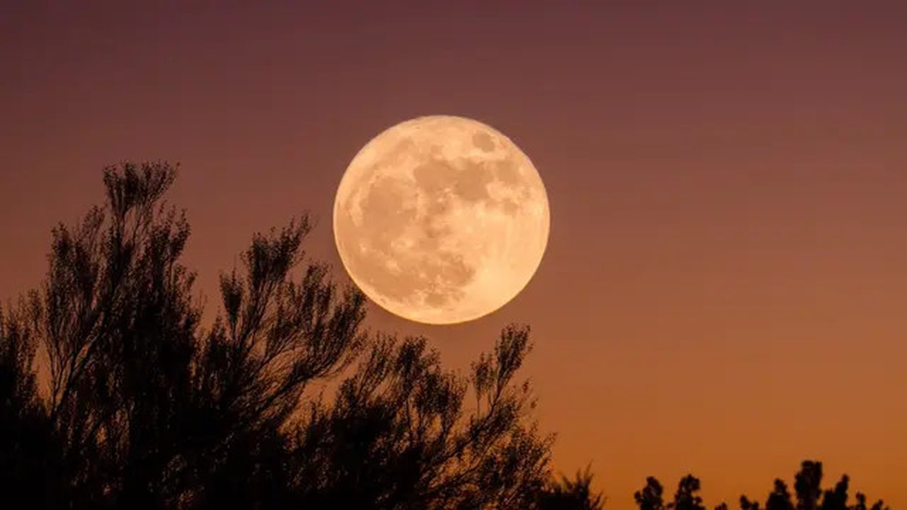 Ilustrasi bulan purnama. (Photo by Ganapathy Kumar on Unsplash)