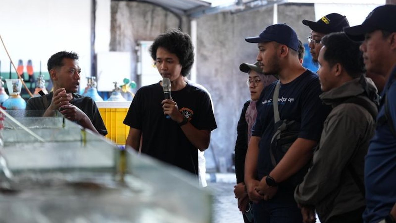 Kementerian Kelautan dan Perikanan (KKP) memperkuat kompetensi pengelola konservasi untuk deteksi Hiu Pari Dilindungi di wilayah timur Indonesia. Apa tujuannya?