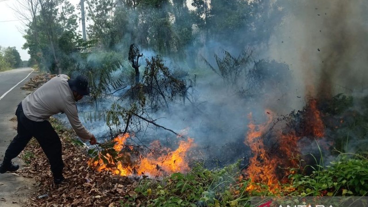 Karhutla Riau 2025 kembali melanda, membakar ratusan hektare lahan dan menetapkan puluhan tersangka. Apa yang membuat bencana ini sulit diatasi dan terus berulang?
