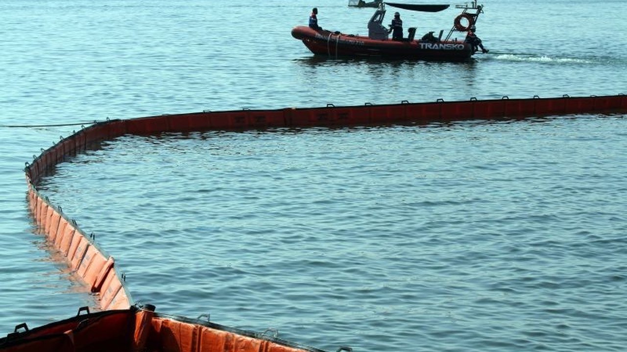 Peneliti BRIN menemukan solusi inovatif atasi tumpahan minyak laut melalui Bioremediasi Mikroba. Bakteri laut tropis ini mampu mendegradasi hidrokarbon minyak bumi secara alami.