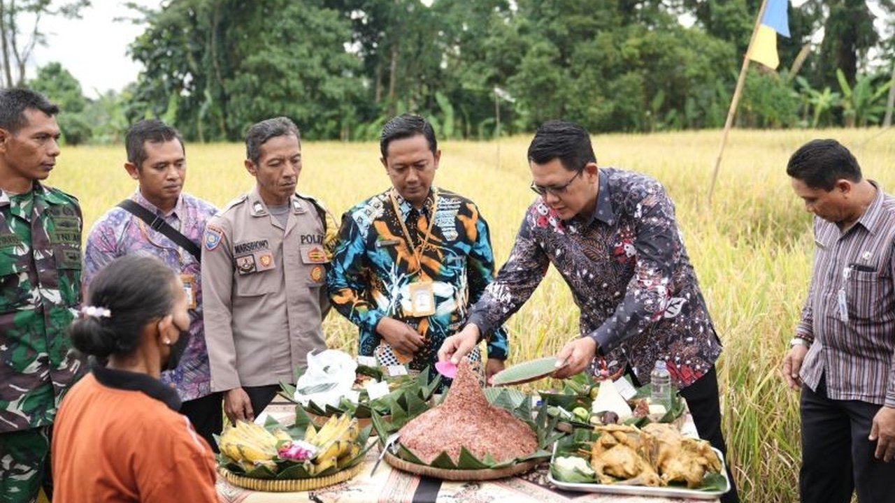 Gapoktan Lestari Mulyo Sleman sukses gelar Panen Raya Padi Organik Sembada Merah, varietas unggulan yang diakui nasional. Simak bagaimana Pemkab Sleman mendukungnya!