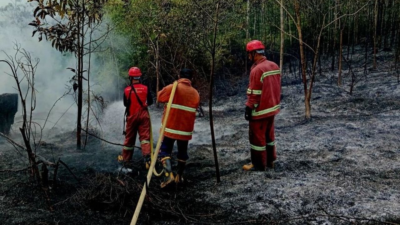 Karhutla Natuna kembali melanda tiga lokasi, mendorong Disdamkarmat Natuna mengimbau masyarakat agar tidak membuka lahan dengan cara membakar. Apa alasannya?