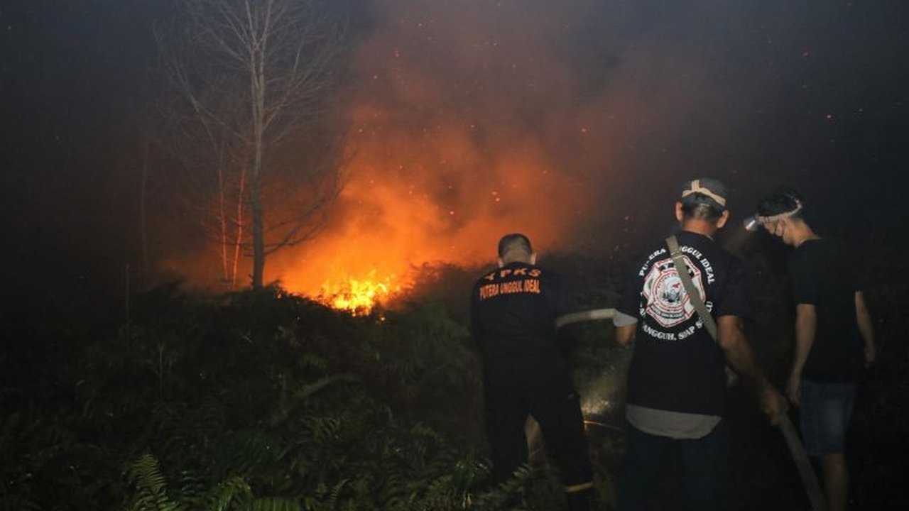 Kebakaran hutan dan lahan (Karhutla) di sekitar Bandara Singkawang terus meluas hingga 31 hektare, menyulitkan tim gabungan. Simak tantangan dan upaya pemadaman Karhutla Singkawang!