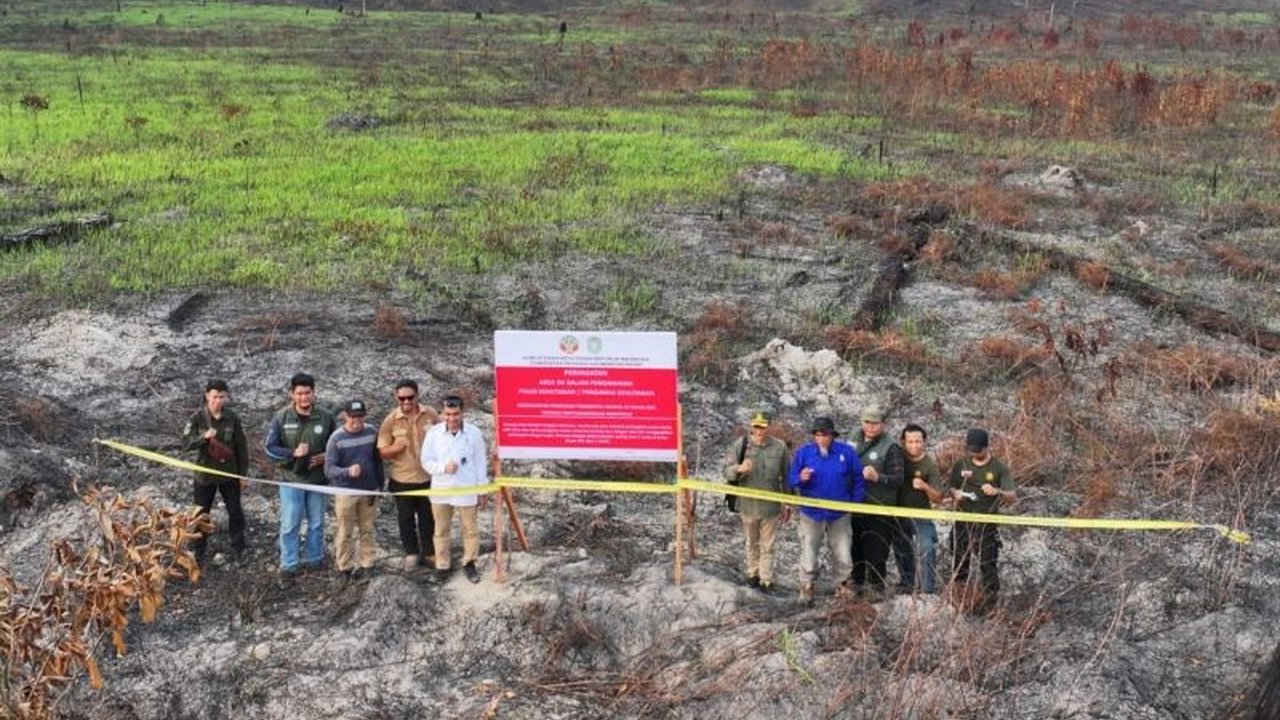 Kementerian Kehutanan melakukan **penyegelan konsesi kebakaran hutan** terhadap dua perusahaan di Kalimantan Barat. Area seluas 430 hektar terbakar, dekat perbatasan Malaysia. Apa sanksinya?