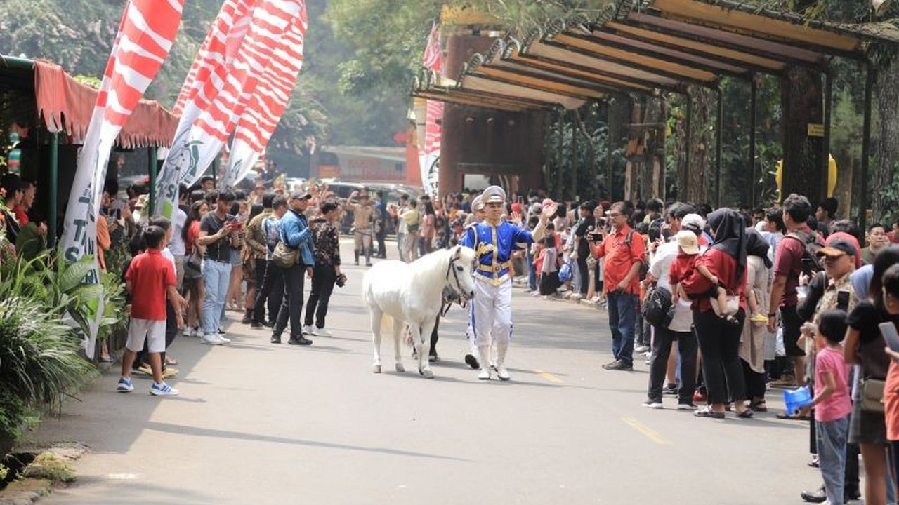 Taman Safari Bogor siap meriahkan HUT ke-80 RI dengan 'The Forest Carnival', parade satwa edukatif yang memadukan konservasi dan hiburan. Jangan lewatkan pengalaman imersif ini!