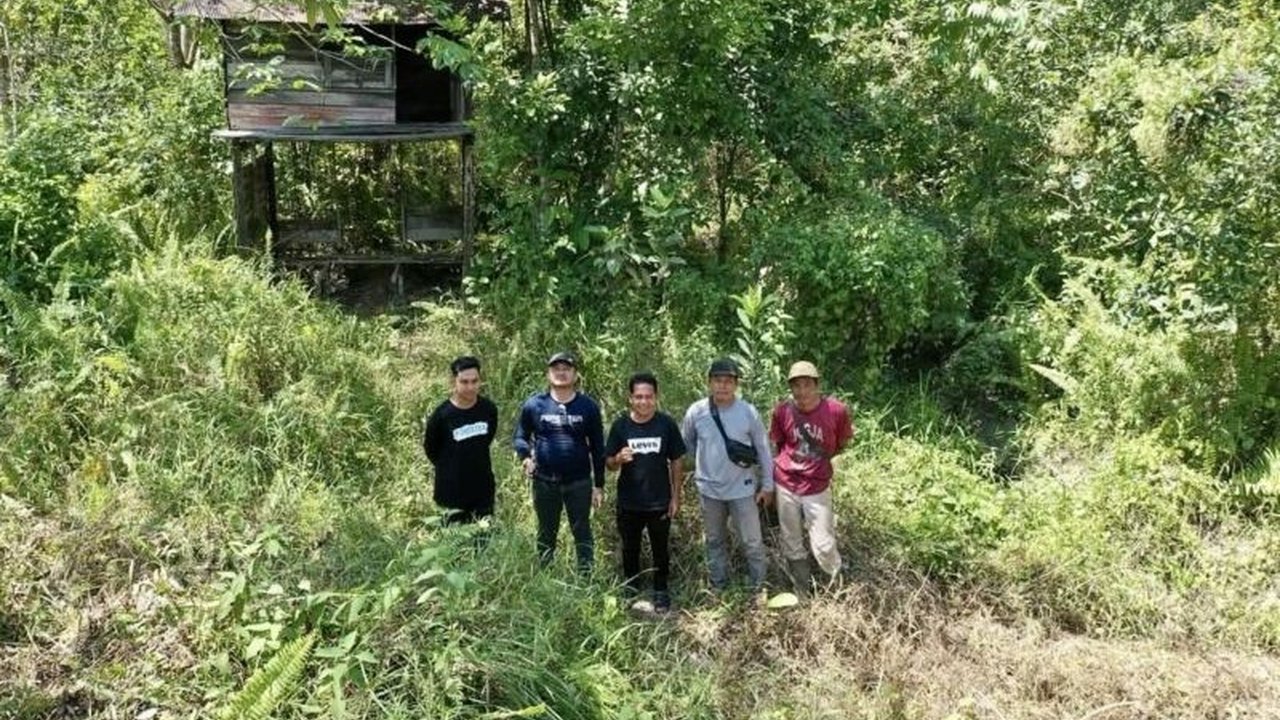 Terungkap! Kalsel Gencarkan Inventarisasi Lahan RHL FOLU Net Sink di Pegunungan Meratus