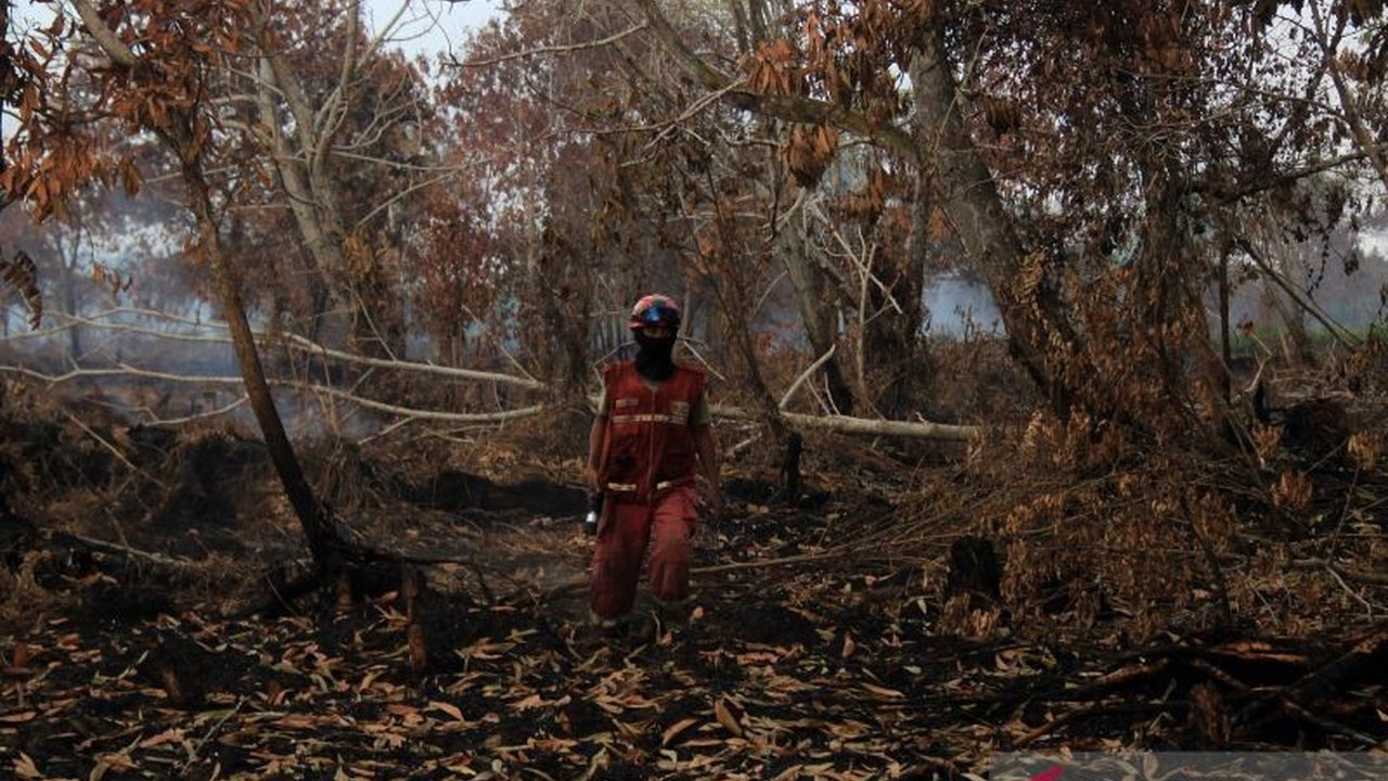 BMKG mendeteksi peningkatan signifikan titik panas Karhutla di Kalimantan dan Sumatera, berpotensi memicu kebakaran hutan dan lahan yang meluas di tengah puncak musim kemarau. Apa penyebabnya?
