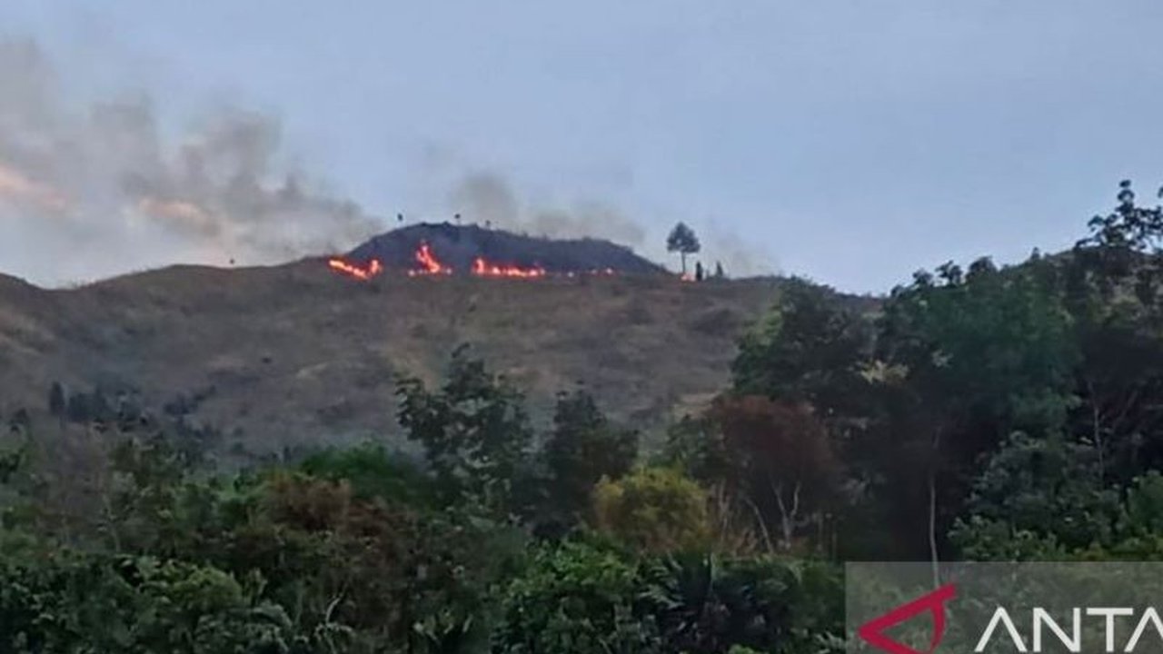 Dinas Kehutanan Sumbar tengah menyelidiki penyebab kebakaran lahan seluas 100 hektare di Bukit Teletubies, Pasaman, yang dipenuhi ilalang kering dan sulit dijangkau.