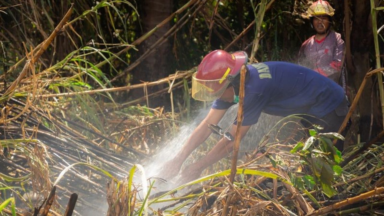 Kepala Dinas Kehutanan Sumbar mengindikasikan Karhutla Limapuluh Kota disengaja, dengan ribuan hektare lahan terdampak. Penyelidikan kepolisian sedang berjalan.