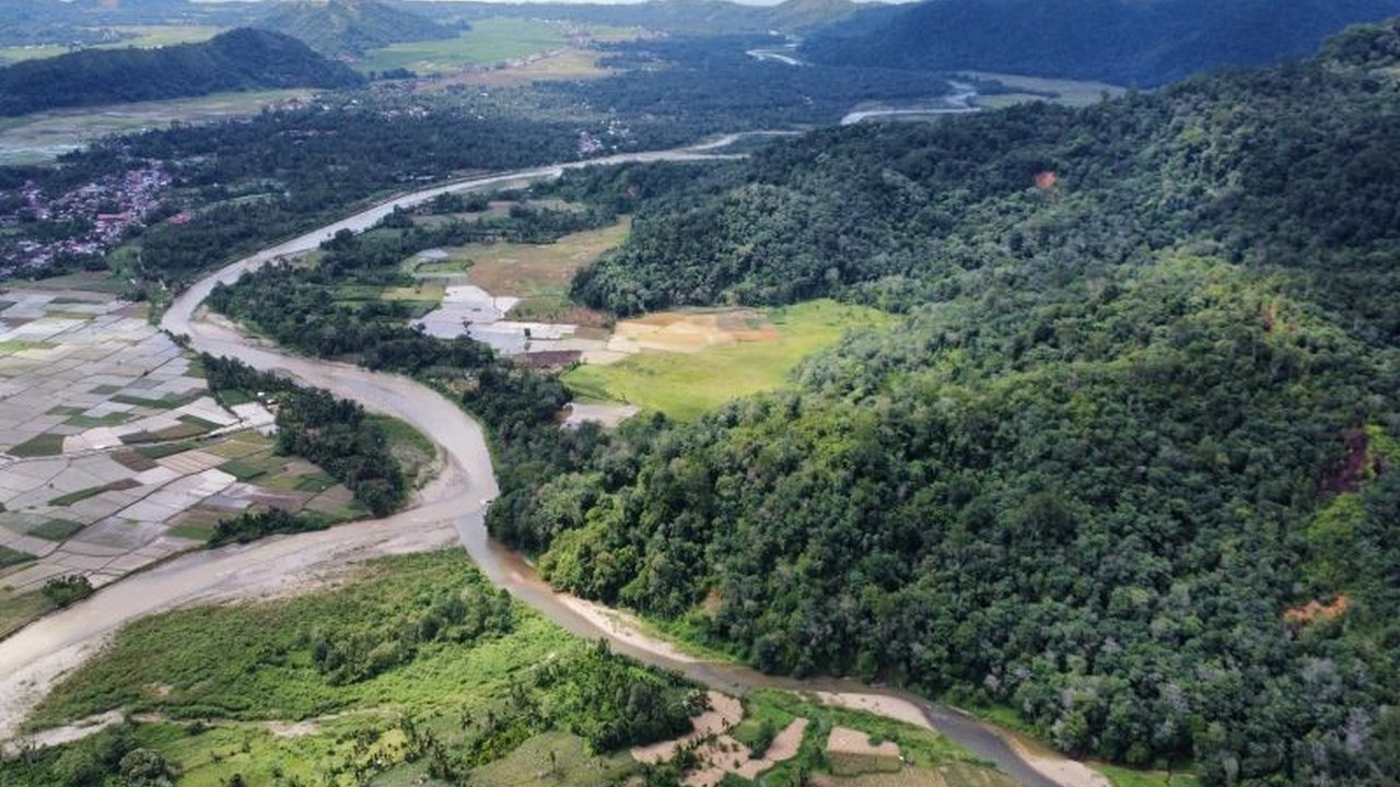 Menteri Kehutanan RI menekankan pentingnya menjaga kelestarian satwa endemik, khususnya Harimau Sumatra, dalam kunjungan kerja di Sumatera Barat. Apa saja upaya konservasi yang dilakukan?