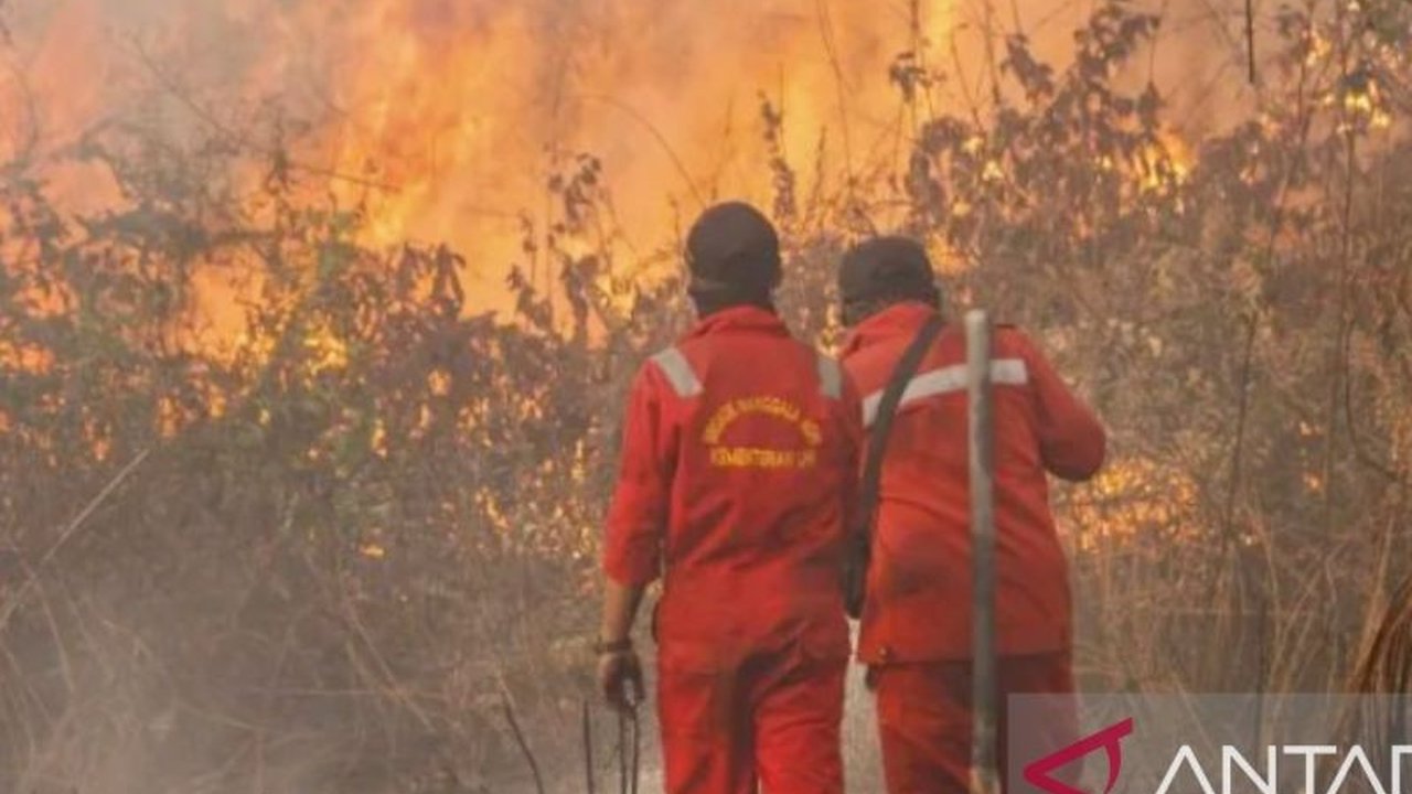 Pemerintah Purwakarta meningkatkan kewaspadaan terhadap potensi Kekeringan dan Karhutla Purwakarta. Apa saja langkah mitigasi yang disiapkan untuk menghadapi ancaman ini?