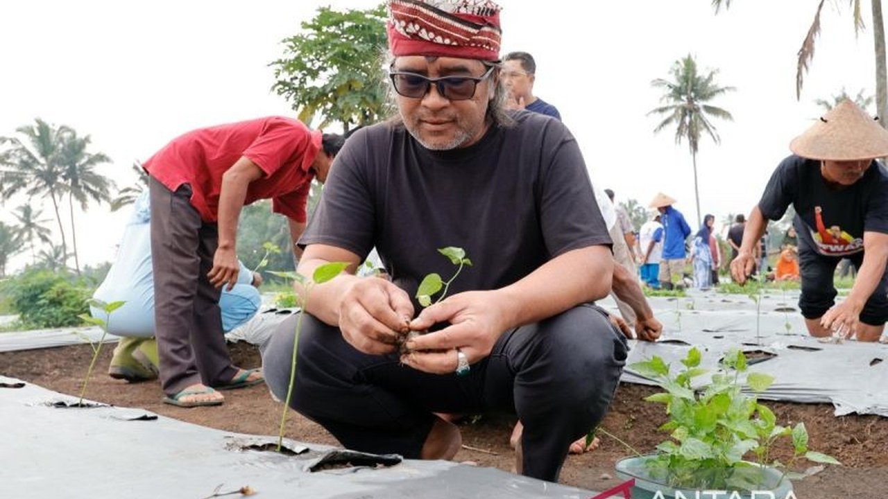 Fantastis! Bupati Temanggung Siapkan Hadiah Rp50 Juta untuk Pemenang Sayembara Cabai Temanggung, Ini Syaratnya
