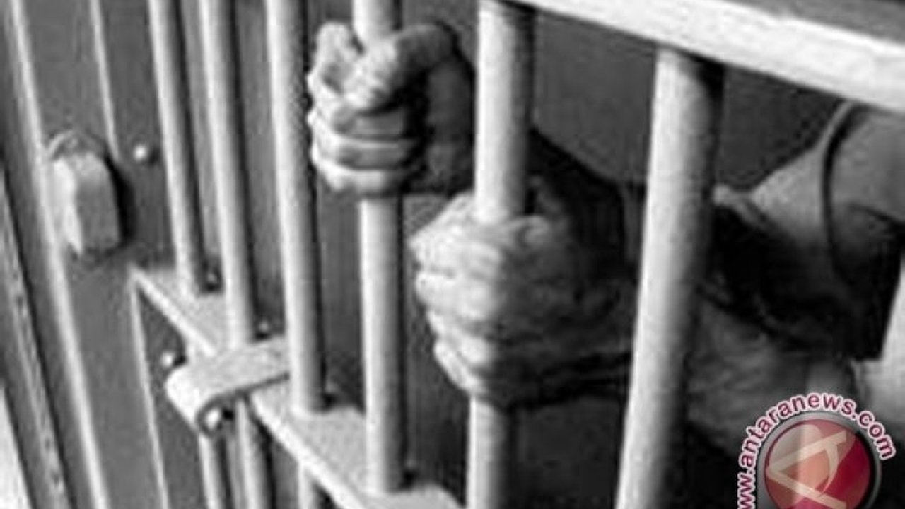 Dua narapidana di Lapas Semarang mendapatkan amnesti presiden dan langsung bebas. Simak kriteria ketat di balik pemberian amnesti ini yang membuat penasaran.