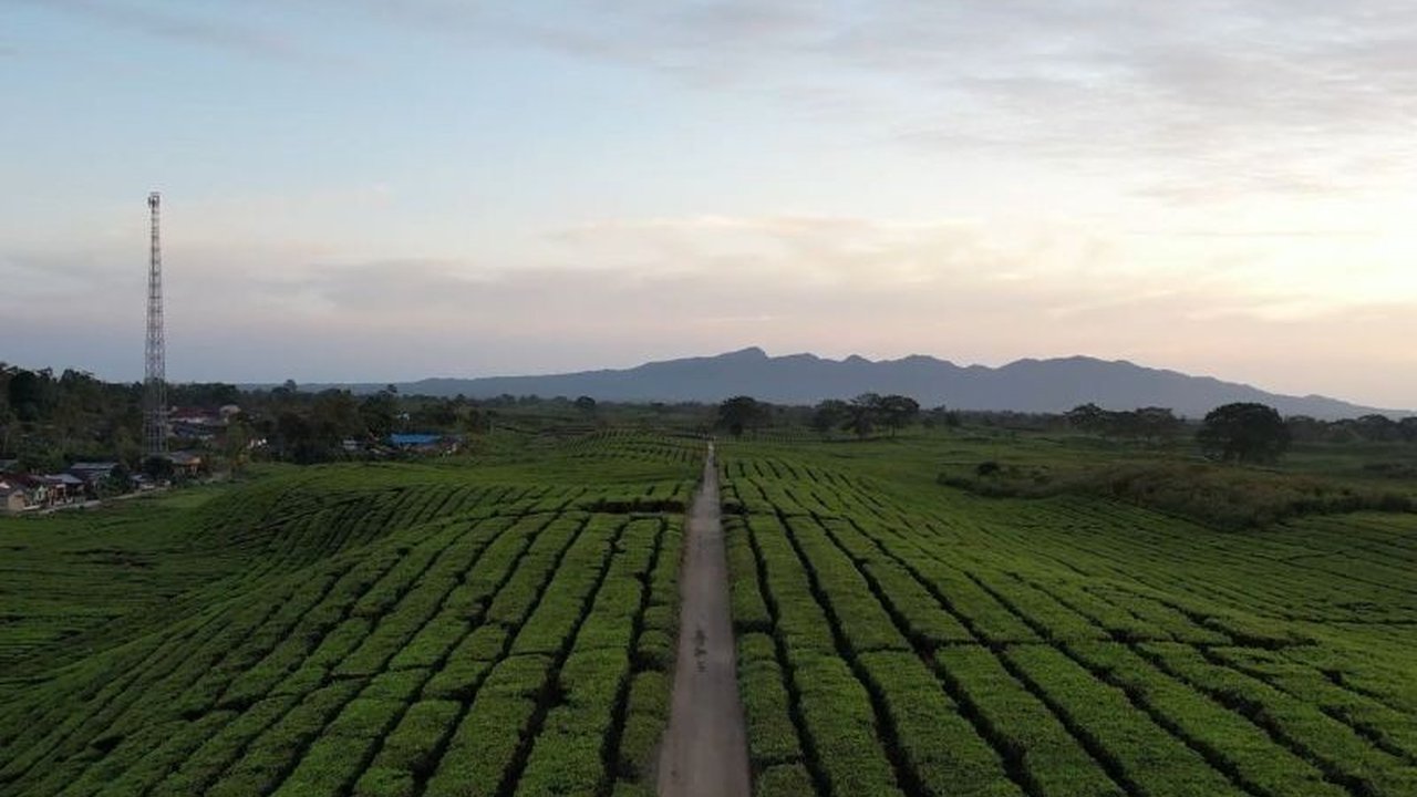 PTPN IV PalmCo mendukung penuh gelaran Asia Pacific Rally Championship (APRC) 2025 di Simalungun, Sumatera Utara, sebagai upaya mendorong sport tourism di kawasan Danau Toba.