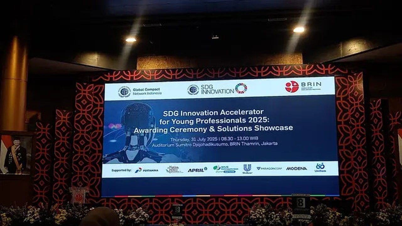 SDG Innovation Accelerator for Young Professionals 2025