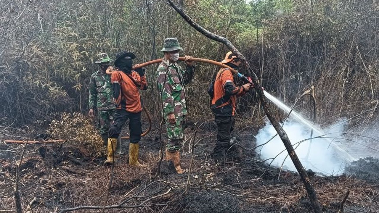 Karhutla Muara Enim Capai 10 Hektare, Luasnya Setara 10 Kali Lapangan Sepak Bola Biasa
