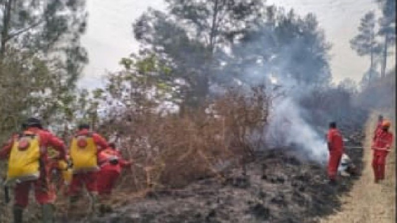 Pusdalops PB Sumut melaporkan dua wilayah, Toba dan Samosir, dilanda Karhutla Sumut. Bagaimana upaya penanganan dan berapa luas lahan yang terdampak?
