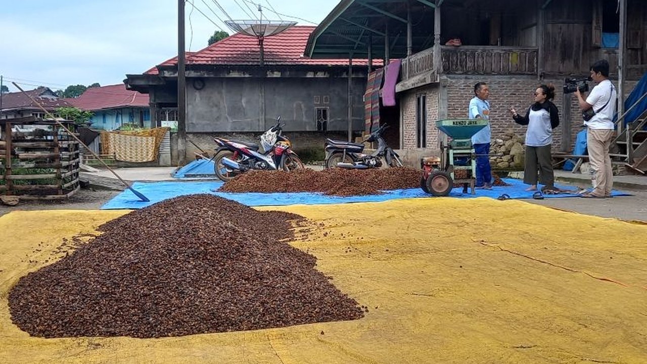 Pertumbuhan Ekonomi Lampung pada Triwulan II 2025 menunjukkan angka solid 5,09 persen. Apa saja faktor utama yang mendorong capaian impresif ini?