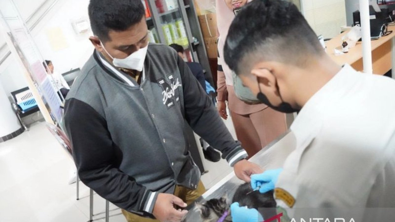 DPKH Kaltim adakan vaksin rabies gratis untuk hewan peliharaan dalam rangka HUT RI ke-80. Ketahui jadwal dan cara daftarnya untuk lindungi hewan kesayangan Anda.