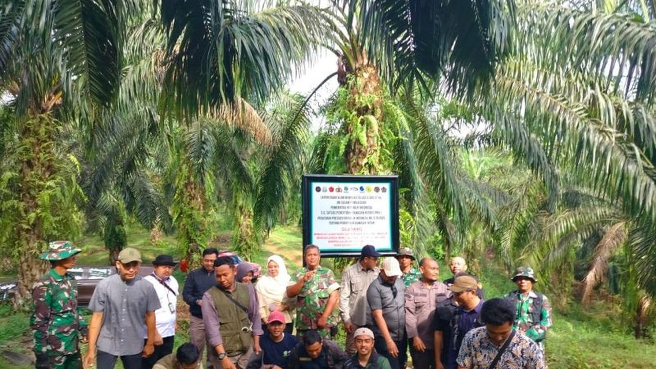 Satgas PKH berhasil menertibkan ribuan hektare lahan ilegal di Cagar Alam Maninjau, Agam. Apa dampak penertiban ini bagi kelestarian hutan dan masyarakat?