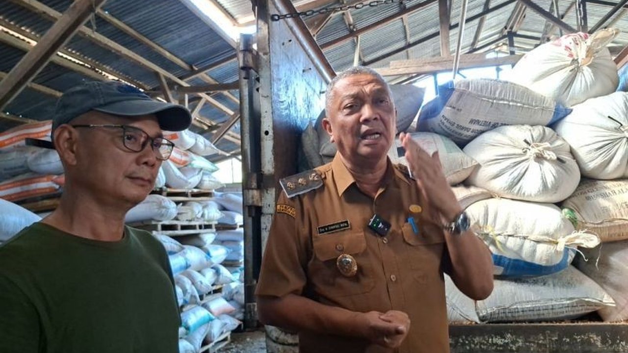 Pemerintah Kabupaten Bengkayang serius tingkatkan produksi jagung Bengkayang untuk ekspor dan ketahanan pangan. Bagaimana strategi mereka mencapai target ambisius ini?