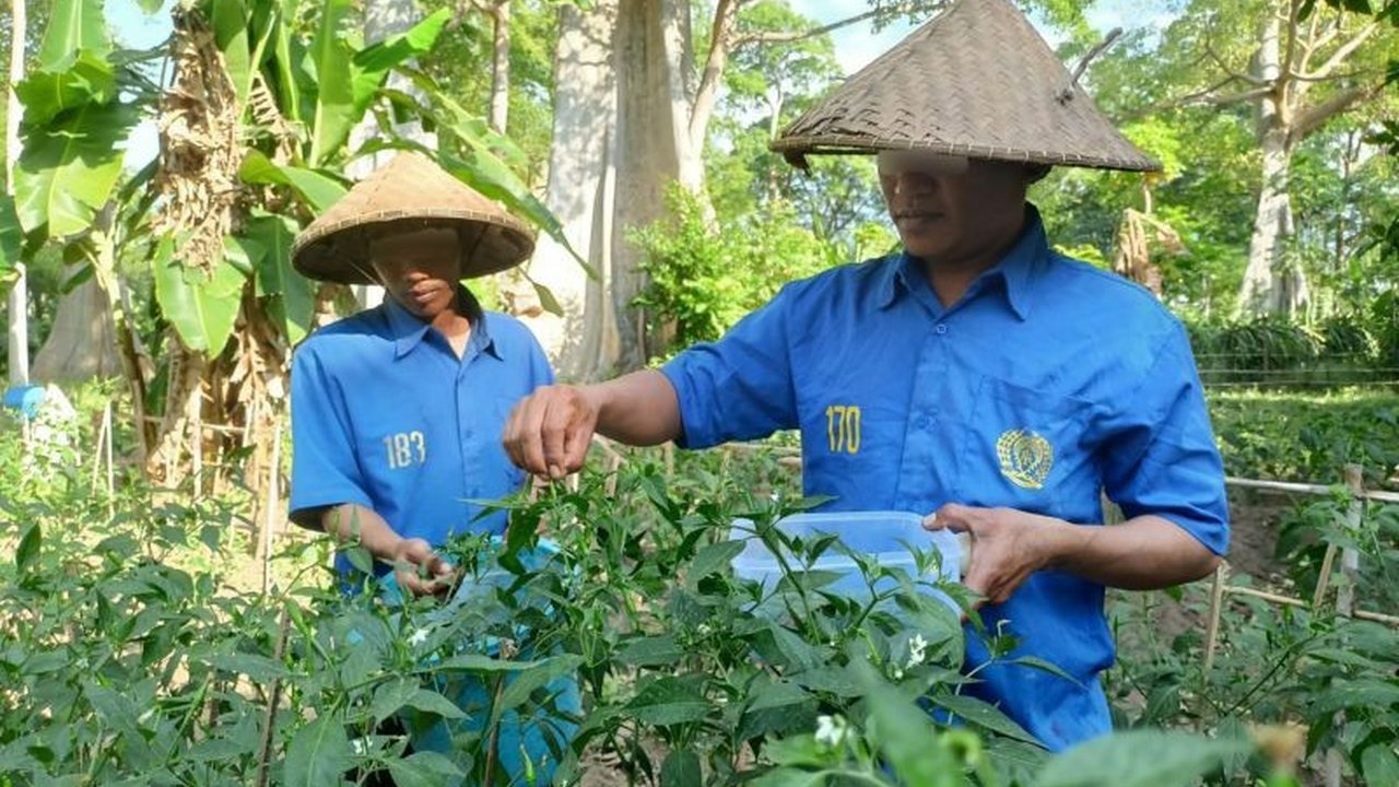 Ratusan Warga Binaan Pemasyarakatan (WBP) Lapas Selong diusulkan menerima Remisi HUT RI 2025, termasuk remisi dasawarsa yang terakhir diberikan 10 tahun lalu. Siapa saja yang berhak?