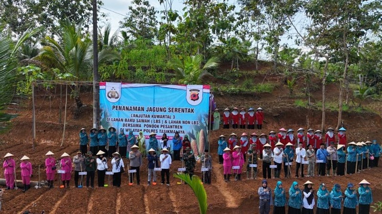 Polres Tasikmalaya tanam jagung seluas 206 hektare di Tasikmalaya, wujud komitmen Polri dukung ketahanan pangan nasional. Bagaimana dampaknya bagi masyarakat?