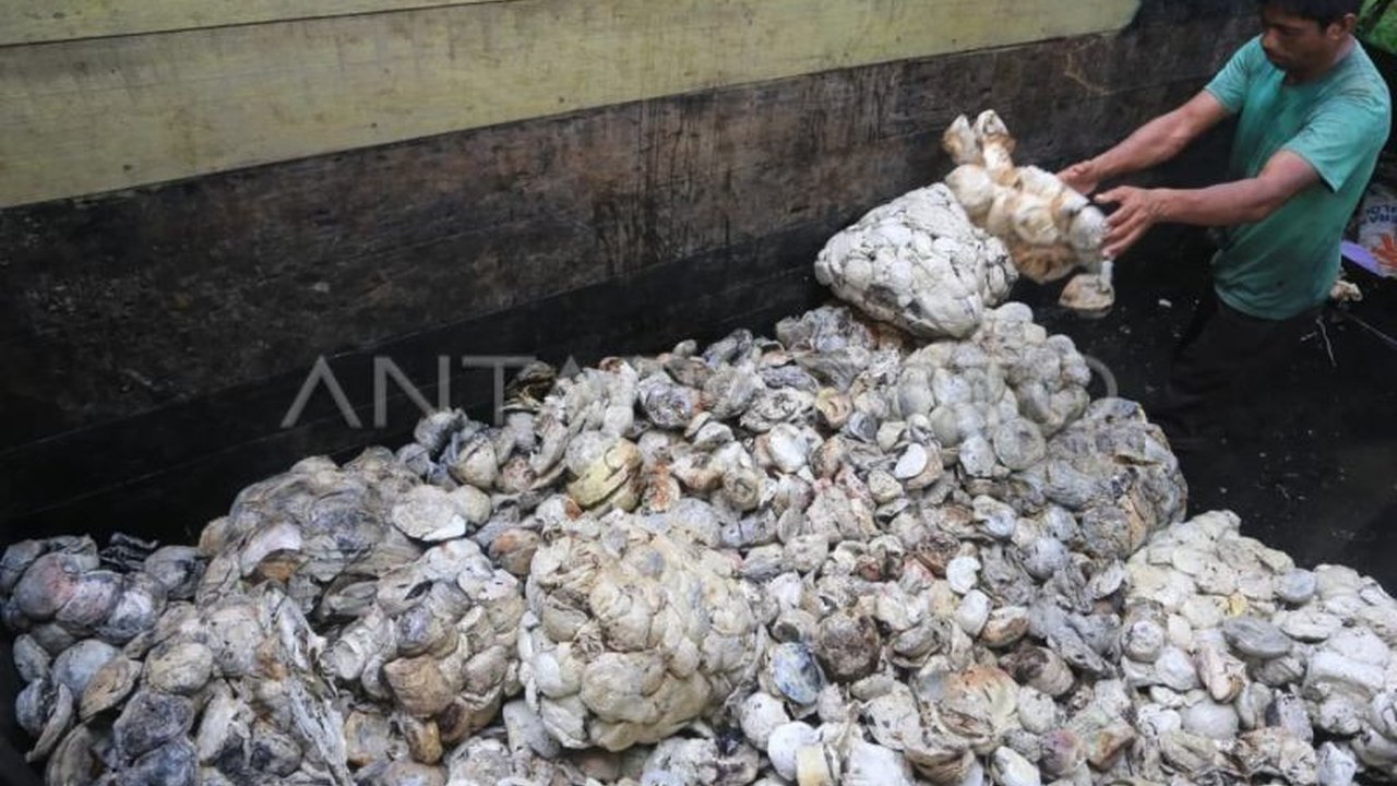 Pemerintah Aceh mengimbau agar produksi karet mentah tidak dijual keluar daerah. Ini adalah langkah strategis mendukung Hilirisasi Karet Aceh demi peningkatan ekonomi dan lapangan kerja.