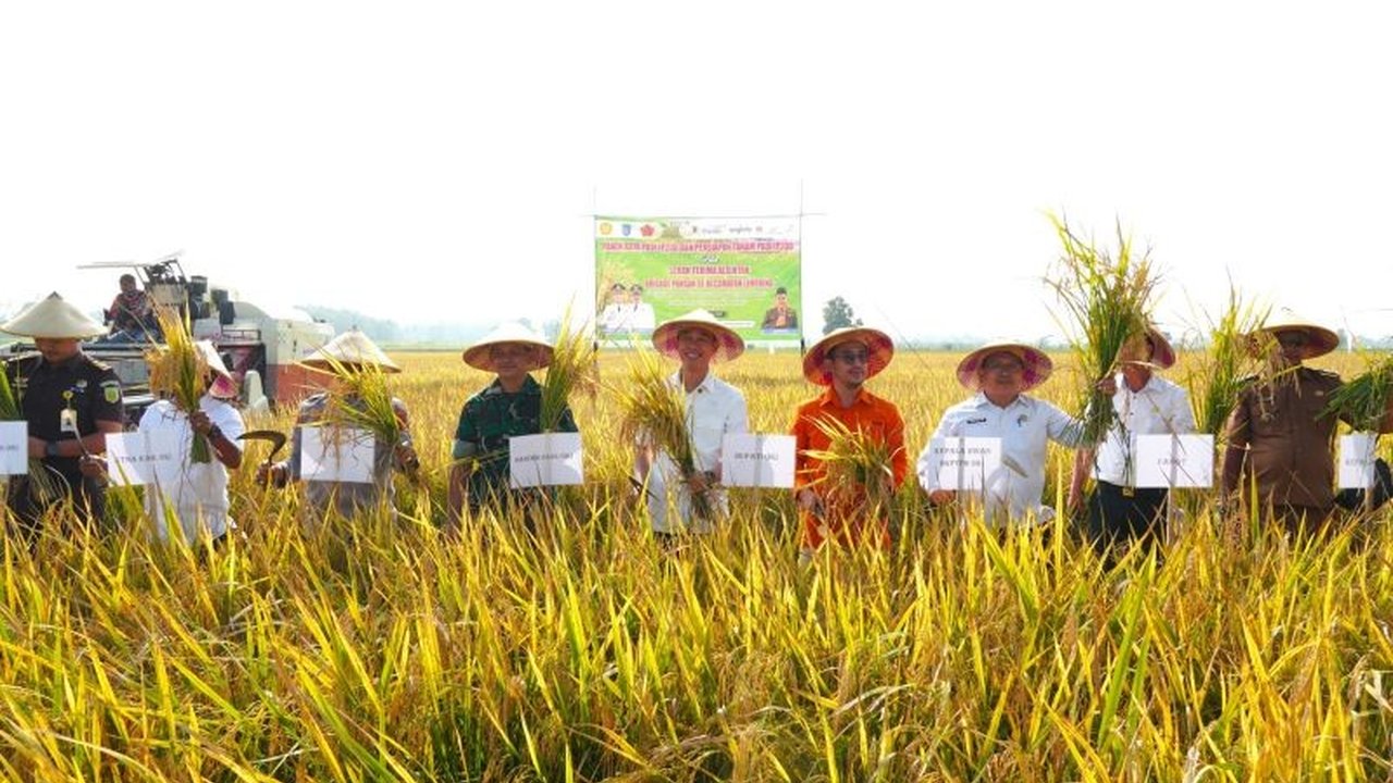 Pemerintah Kabupaten OKI sukses tingkatkan indeks pertanaman melalui Program Oplah OKI, mengubah lahan dari panen sekali setahun menjadi tiga kali. Bagaimana dampaknya?