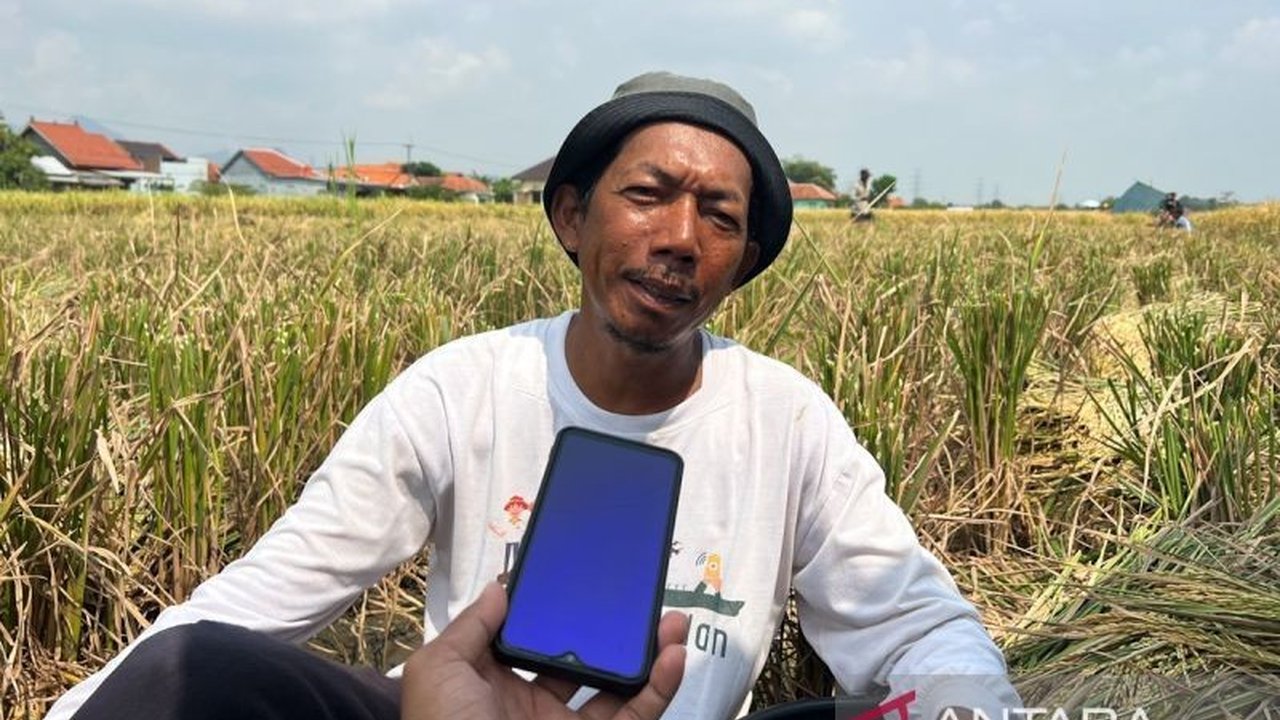 Petani di Cirebon kini tak perlu lagi repot dengan kartu tani. Kebijakan baru penebusan pupuk subsidi KTP membuat akses pupuk jauh lebih mudah dan cepat, meningkatkan produktivitas pertanian.