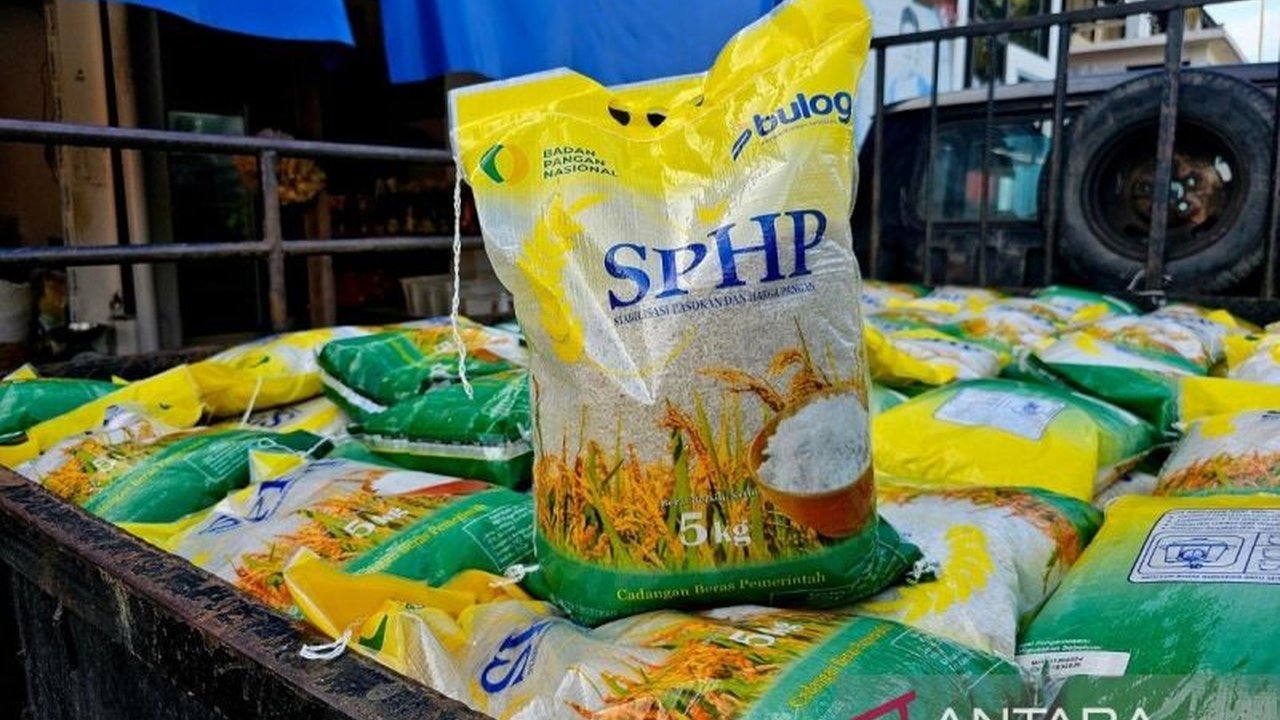 Dinas Ketahanan Pangan Kepri memastikan tidak ada beras oplosan maupun palsu beredar. Namun, tahukah Anda perbedaan mendasar antara keduanya?