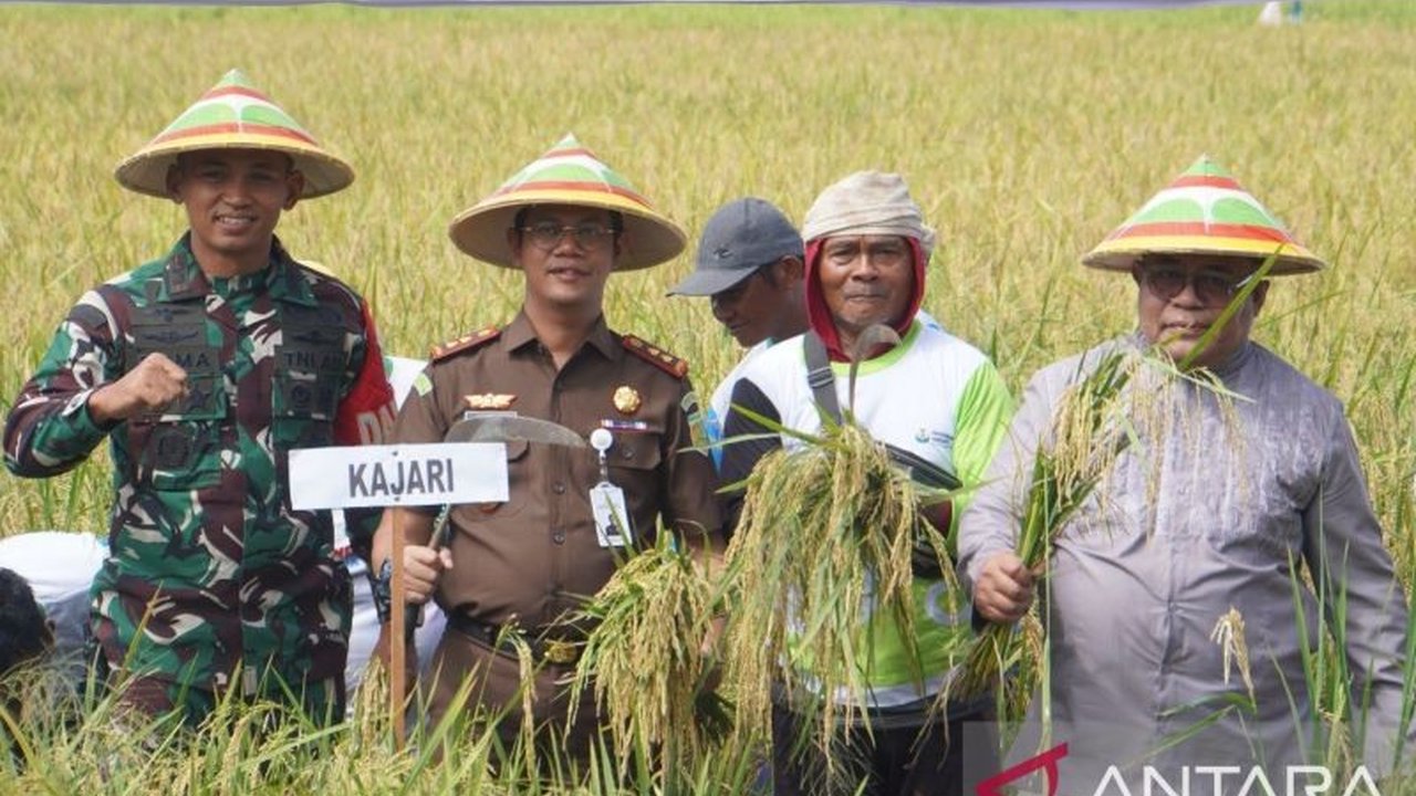 Pemkab Gorontalo gencar berkolaborasi dengan berbagai pihak, termasuk Kejaksaan, demi mewujudkan Swasembada Pangan Gorontalo. Bagaimana strategi mereka mencapai target produksi beras?