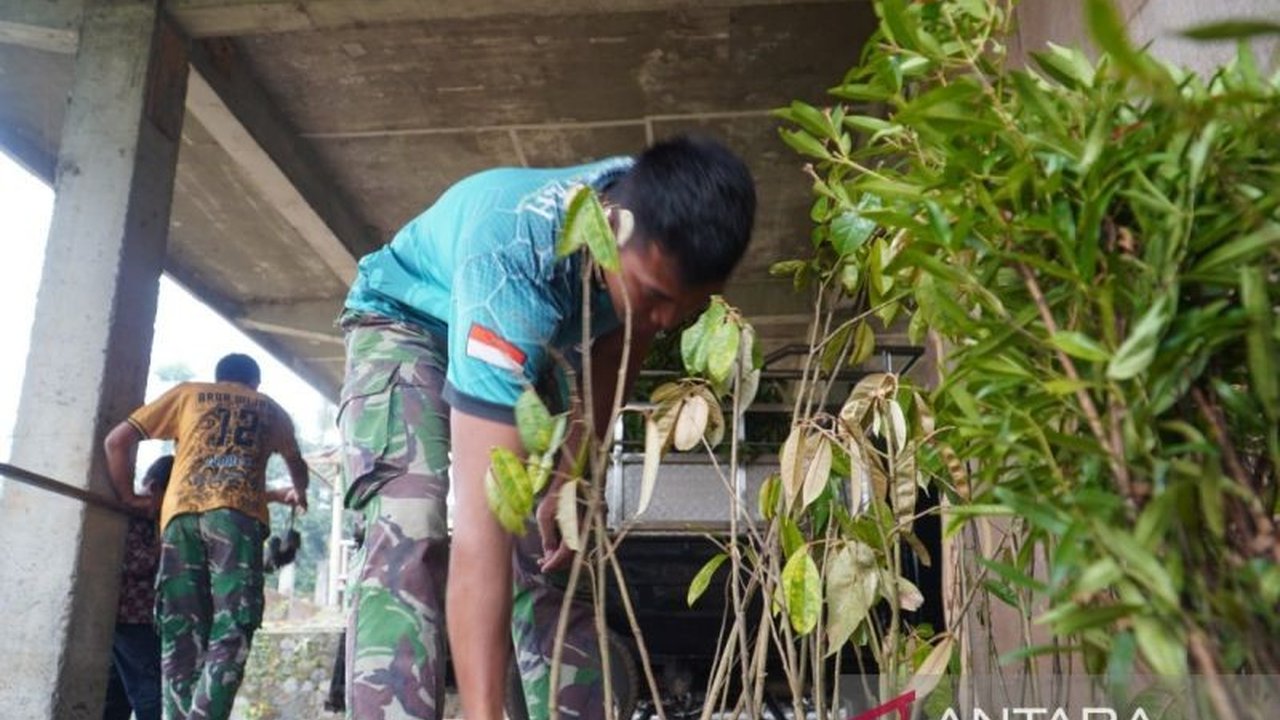 TMMD Temanggung meluncurkan program penanaman 500 bibit buah di lereng Gunung Sumbing. Inisiatif ini diharapkan menjadi solusi efektif atasi gangguan kera hutan yang meresahkan warga.