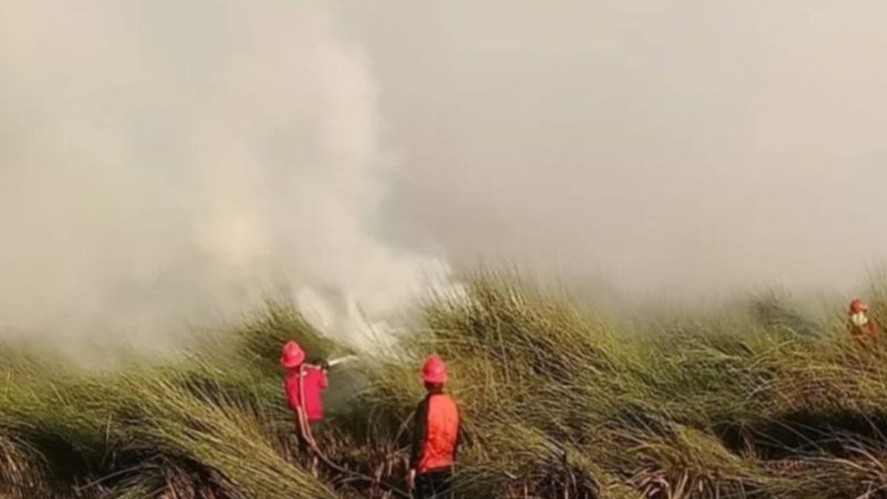 Pemkab Tanah Bumbu serius hadapi potensi karhutla. Dengan 145 embung dan relawan, bagaimana strategi Kesiapsiagaan Karhutla Tanah Bumbu memastikan wilayahnya aman dari api?