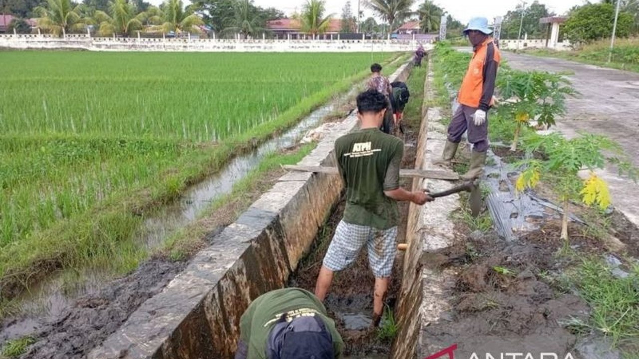 BRMP Kaltim dorong generasi muda jadi Pengusaha Pertanian Modern Kaltim, manfaatkan potensi alam dan ubah stigma. Bagaimana program Brigade Pangan mewujudkan kedaulatan pangan?