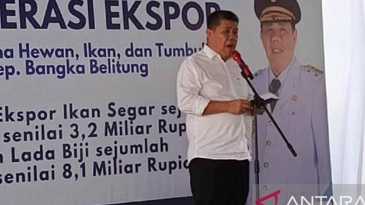 Gubernur Kepulauan Bangka Belitung berkomitmen berantas tuntas penyelewengan BBM subsidi nelayan yang menghambat kesejahteraan maritim. Apa dampaknya bagi nelayan?