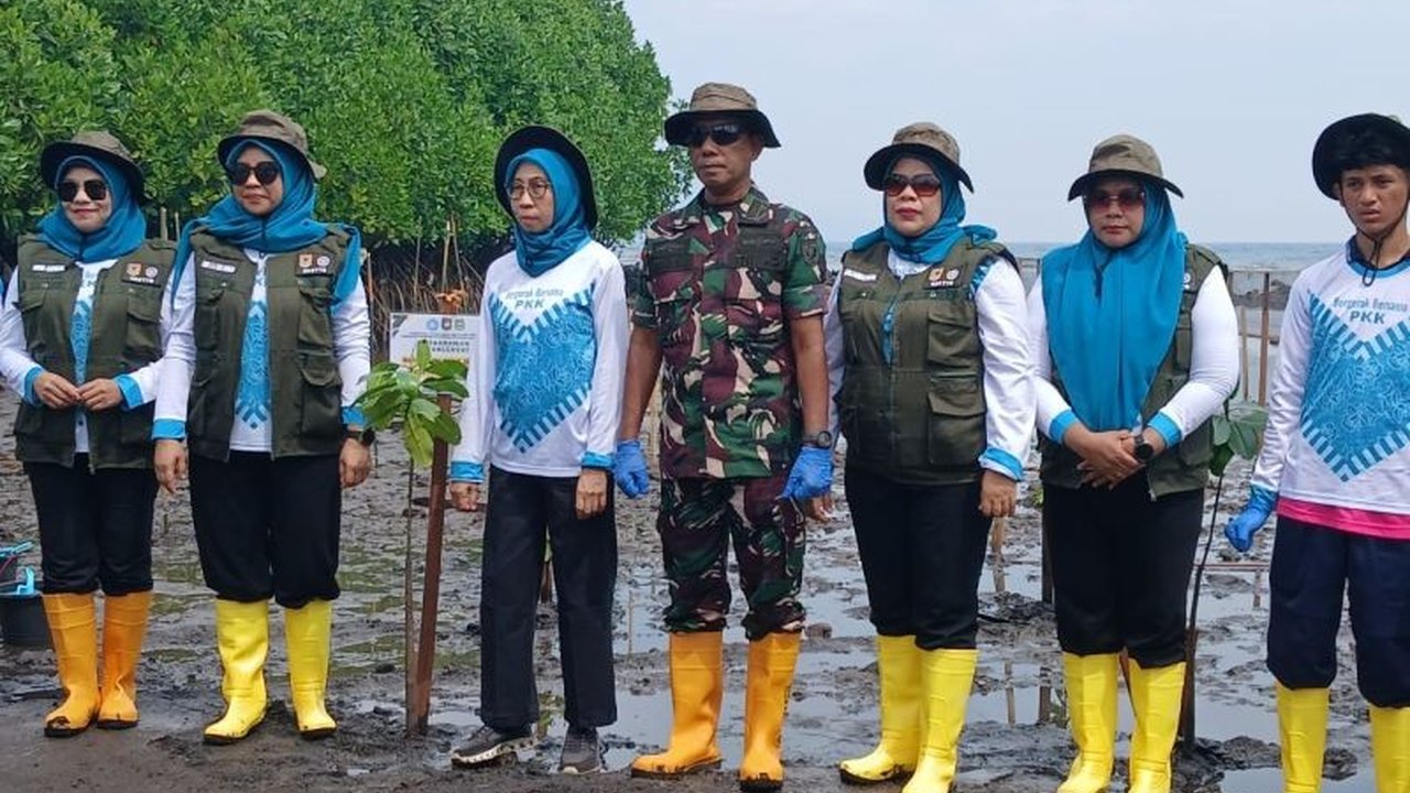 Pemprov Maluku Utara bersama berbagai pihak sukses menggelar aksi penanaman 240 pohon mangrove di Gambesi. Apa pentingnya Penanaman Mangrove Maluku Utara ini bagi pesisir?
