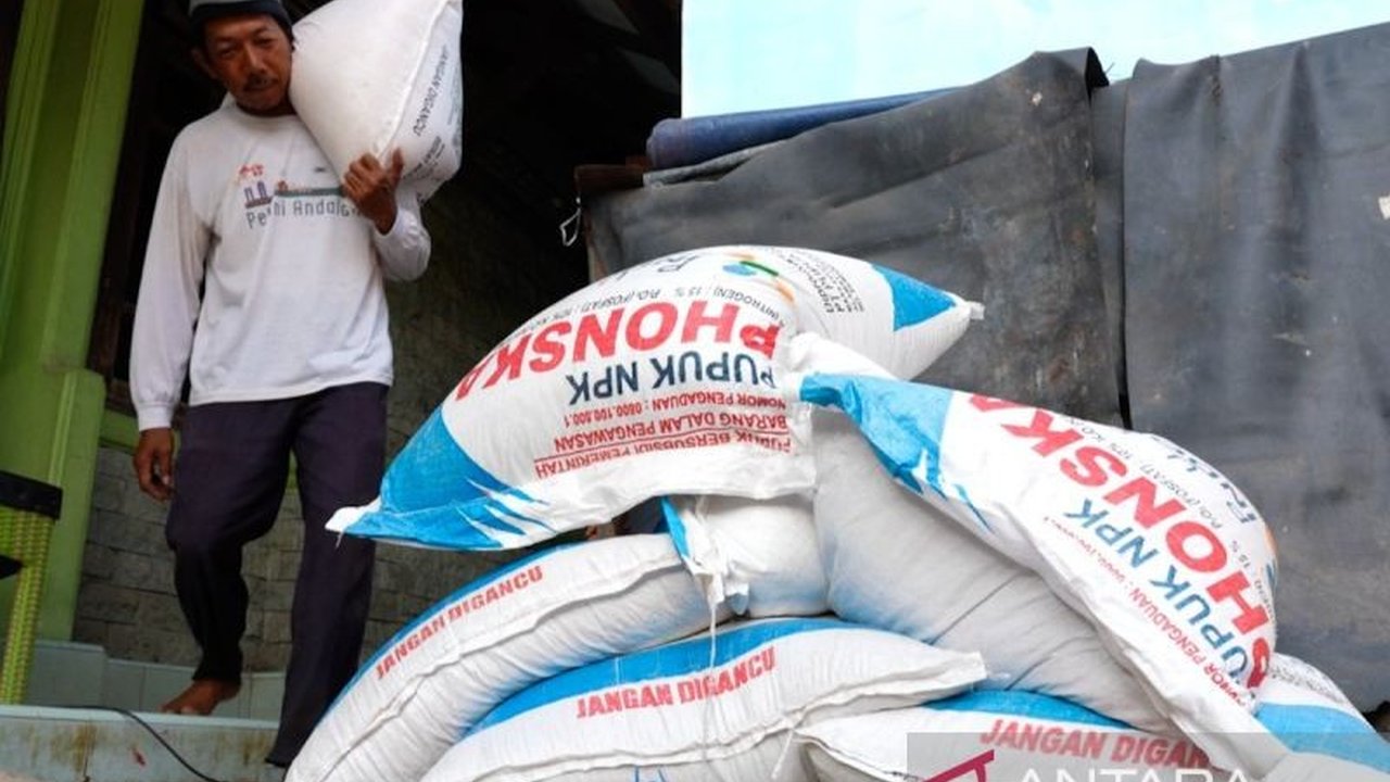 Akses cepat pupuk subsidi kini jadi angin segar bagi petani di Cirebon. Temukan bagaimana kemudahan ini meningkatkan semangat dan produktivitas pertanian mereka!