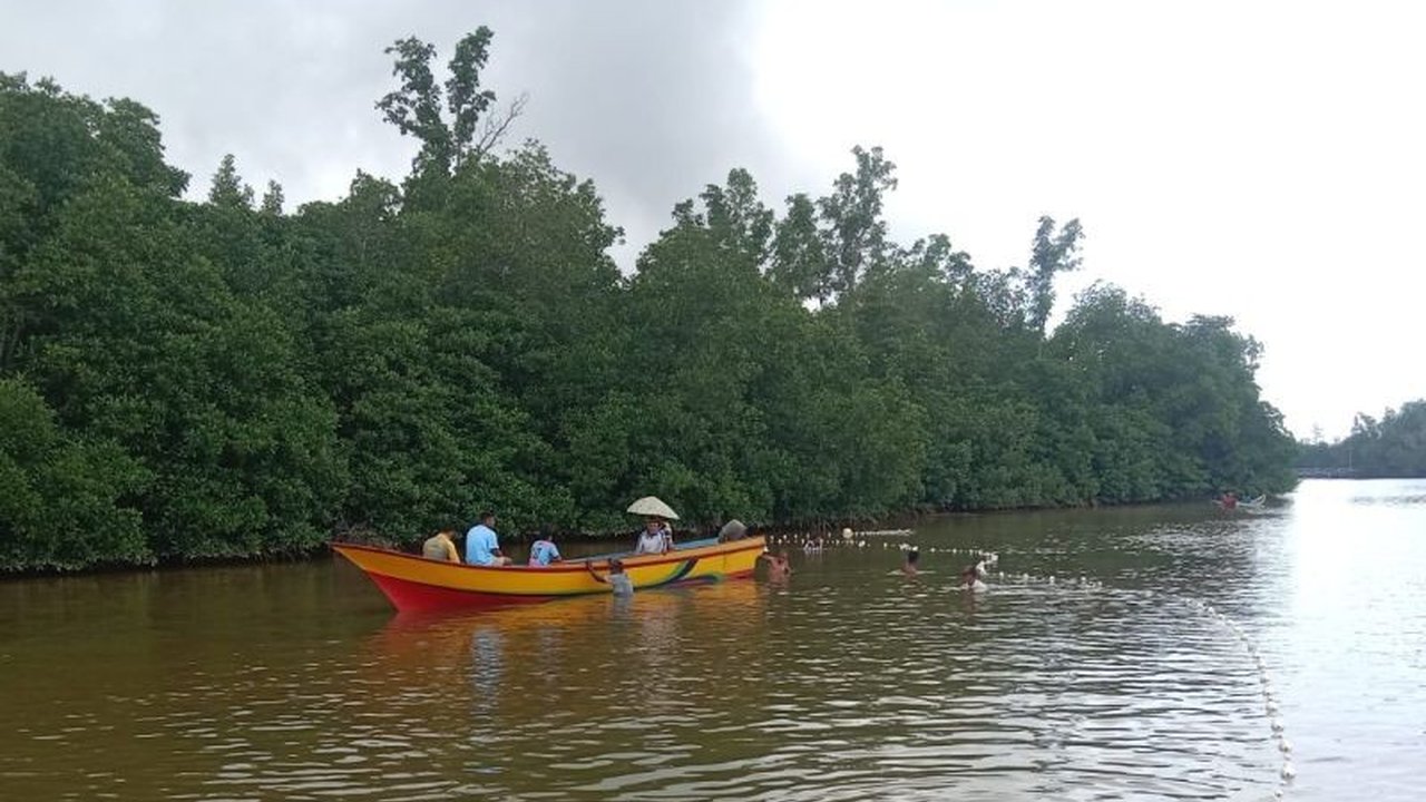Seorang lansia di Maluku Utara diduga diterkam buaya saat buang air kecil. Tim SAR gabungan kini intensif mencari korban yang hilang, memicu kekhawatiran baru.