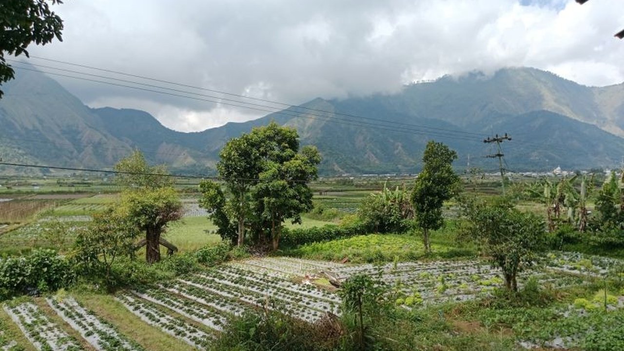 Setelah ditutup sementara, Pendakian Gunung Rinjani di Lombok resmi dibuka kembali mulai 11 Agustus 2025. Simak detail perubahan SOP dan persyaratannya!