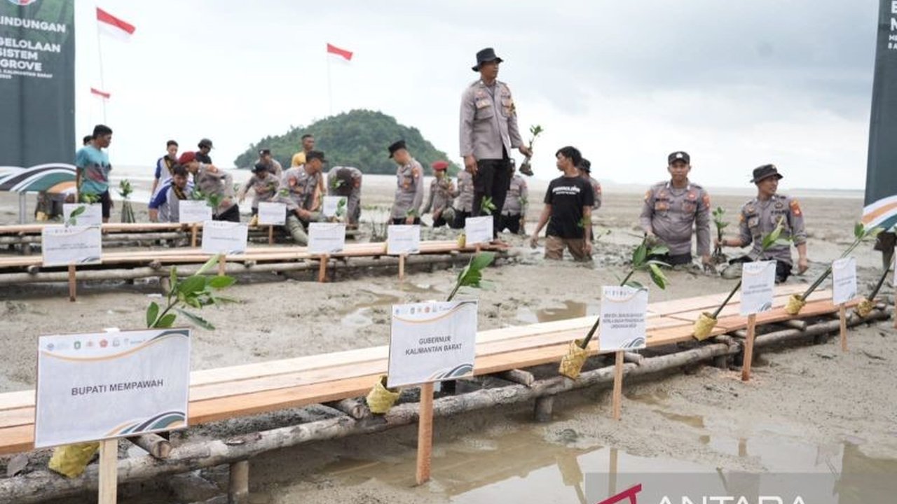 Pemprov Kalbar berkomitmen penuh melestarikan ekosistem mangrove Kalbar yang luasnya mencapai 162 ribu hektare, termasuk dua spesies langka dunia, melalui kolaborasi multi-pihak.