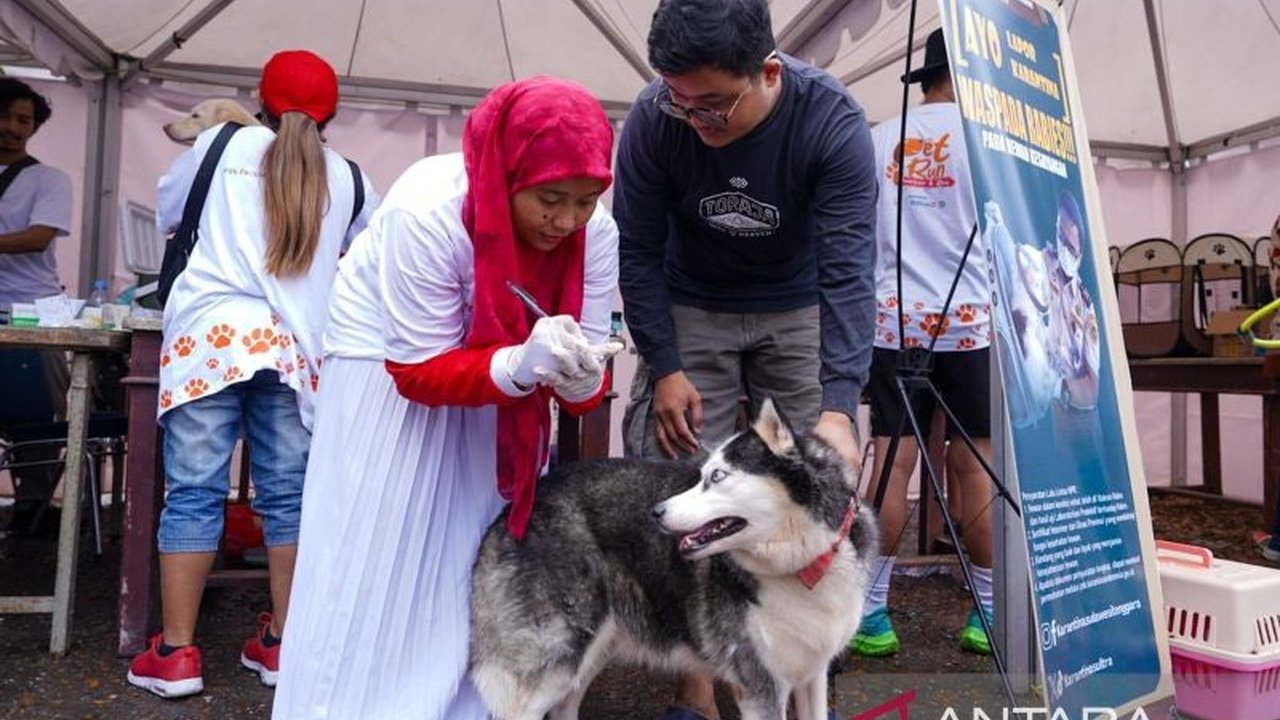 PDHI Sultra gencar edukasi kesehatan hewan melalui Pet Festival, menargetkan vaksinasi rabies untuk 200 hewan. Terungkap, 14 dari 17 wilayah Sultra terkonfirmasi rabies.