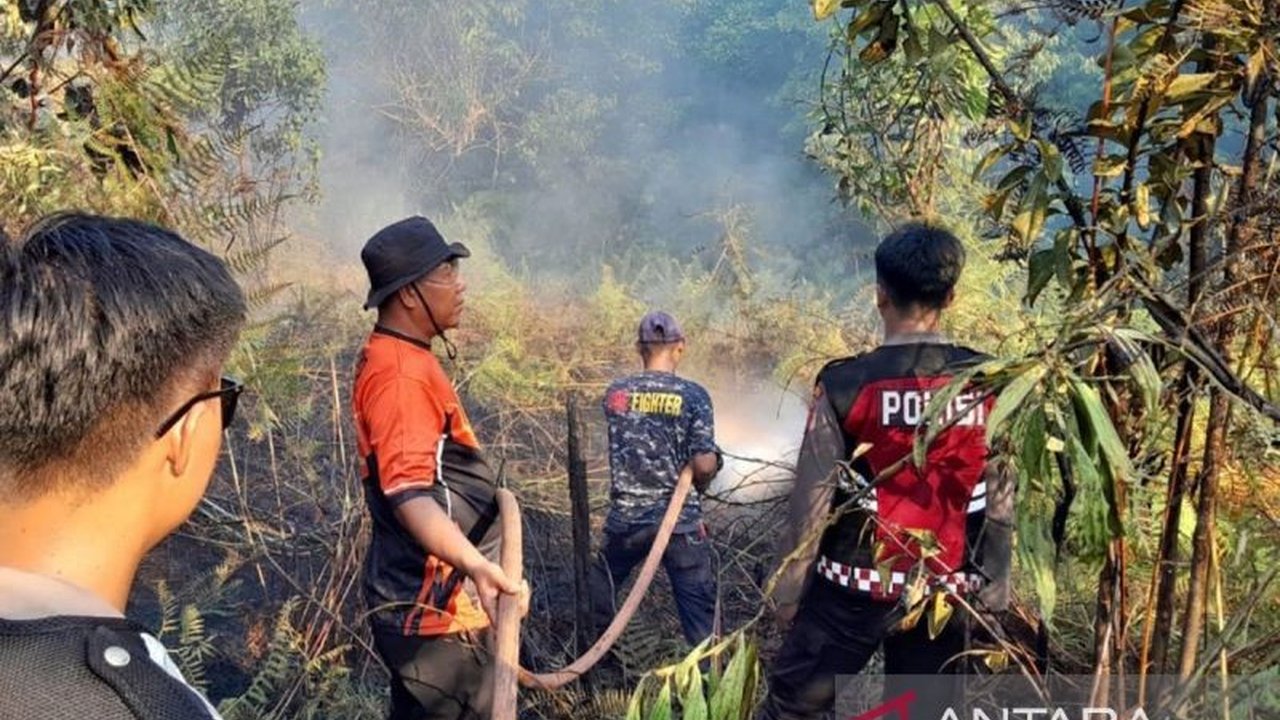 Pemerintah Provinsi Kalimantan Timur berhasil memadamkan mayoritas titik kebakaran hutan. Simak strategi mitigasi dan tantangan yang masih dihadapi di tengah musim kemarau.