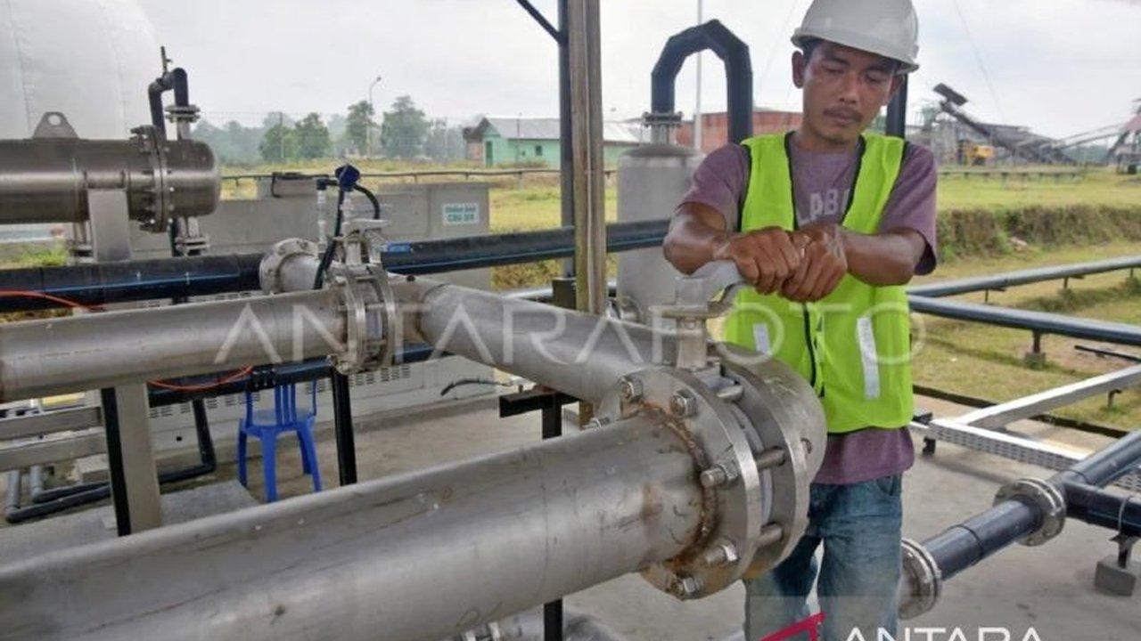 Transisi Energi Kaltim: Limbah Sawit Ubah Polusi Jadi Listrik dan Hemat Miliaran Rupiah
