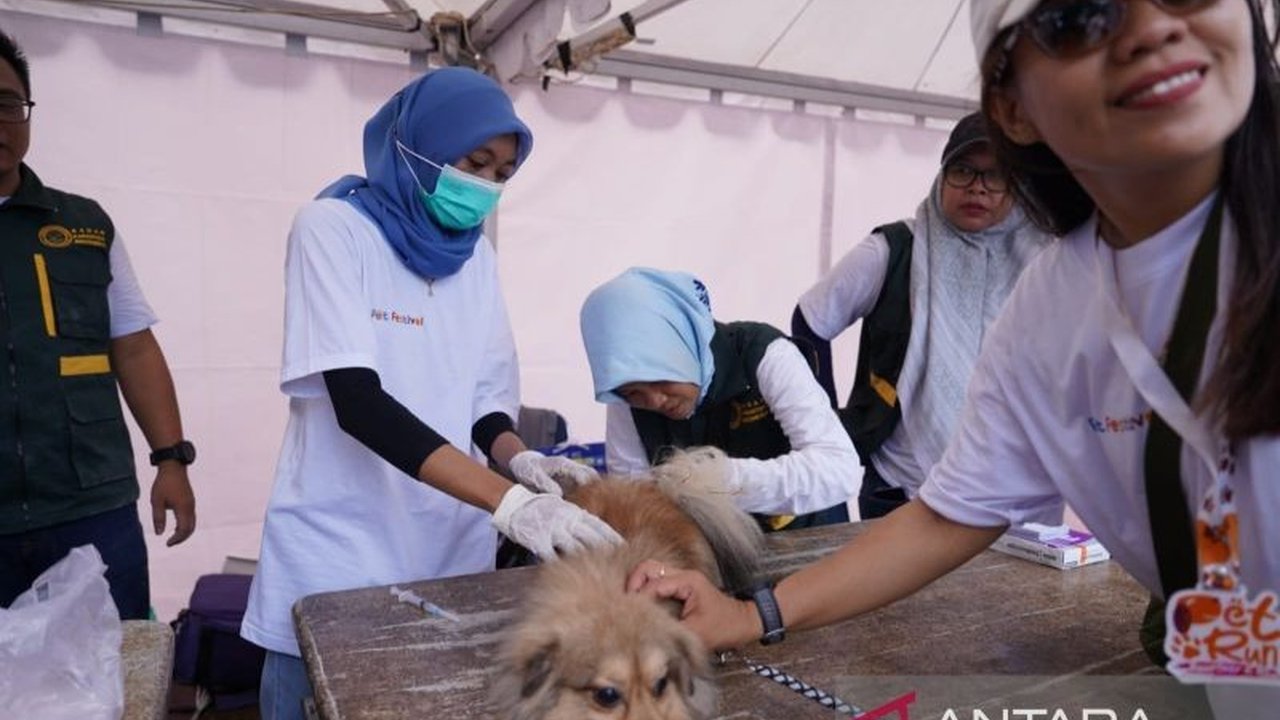 Perhimpunan Dokter Hewan Indonesia (PDHI) Sultra sukses gelar vaksinasi rabies Sultra untuk 200 hewan peliharaan. Langkah ini penting cegah penularan mematikan.