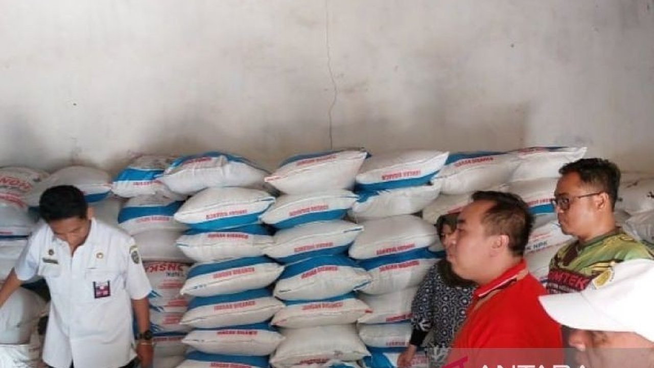 Pemkab Situbondo mencatat serapan pupuk subsidi jenis urea dan NPK telah mencapai 50 persen hingga Juli 2025. Akankah target 100 persen terpenuhi akhir tahun?