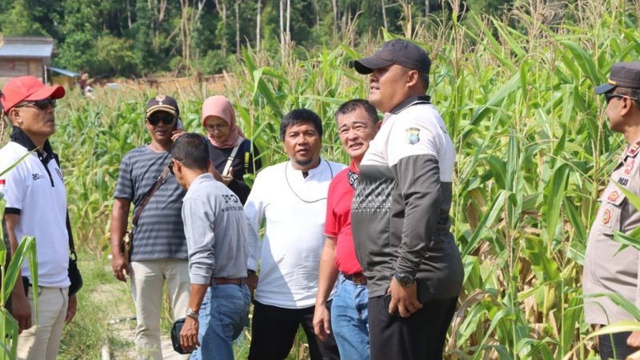 Polres Lingga menggarap 30 hektare lahan tidur menjadi sentra jagung pipil, sebuah langkah nyata memperkuat Ketahanan Pangan nasional dan stabilitas bangsa.