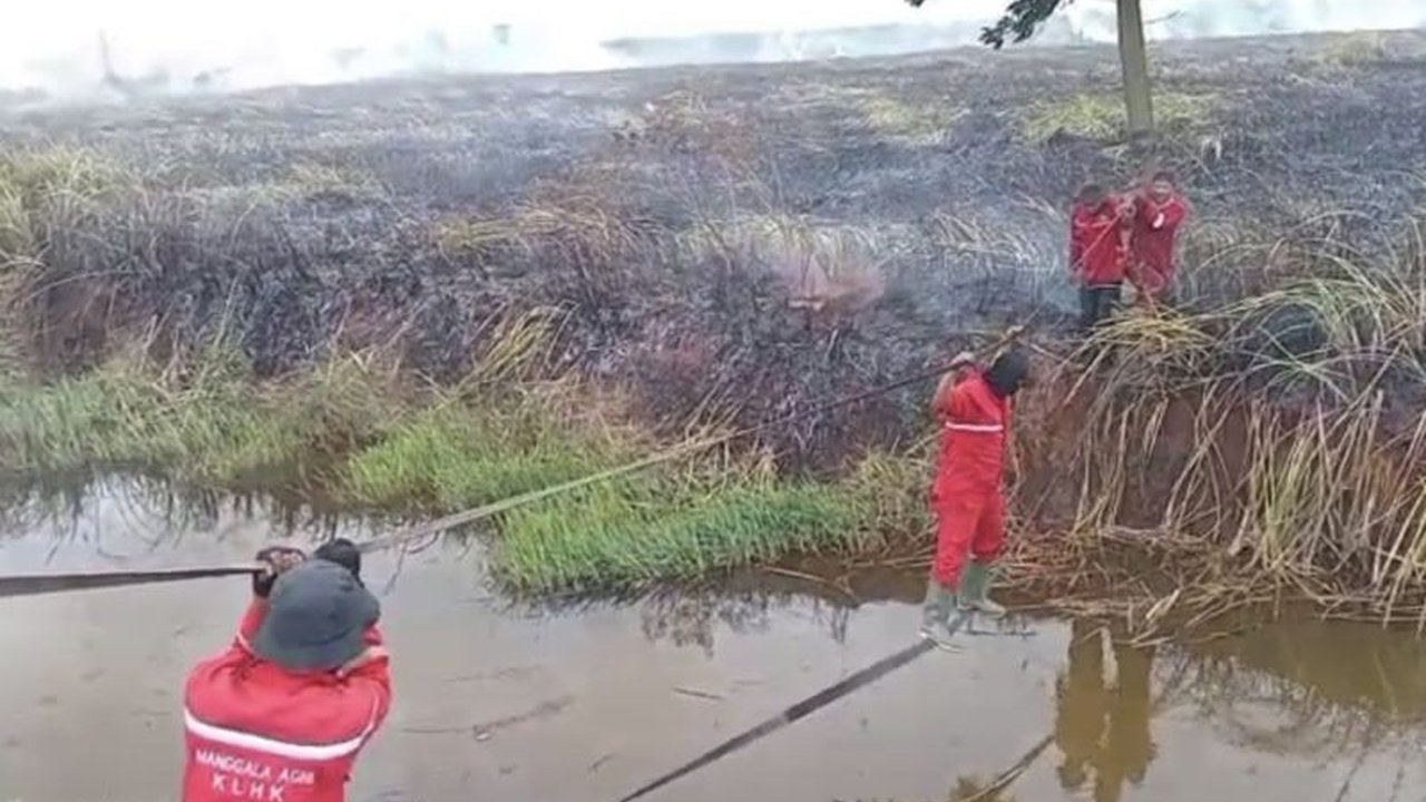 Balai Pengendalian Kebakaran Hutan (Dalkarhut) menemukan titik api di Ogan Ilir, Sumatera Selatan. Simak detail upaya pemadaman dan dugaan penyebab kebakaran lahan ini.