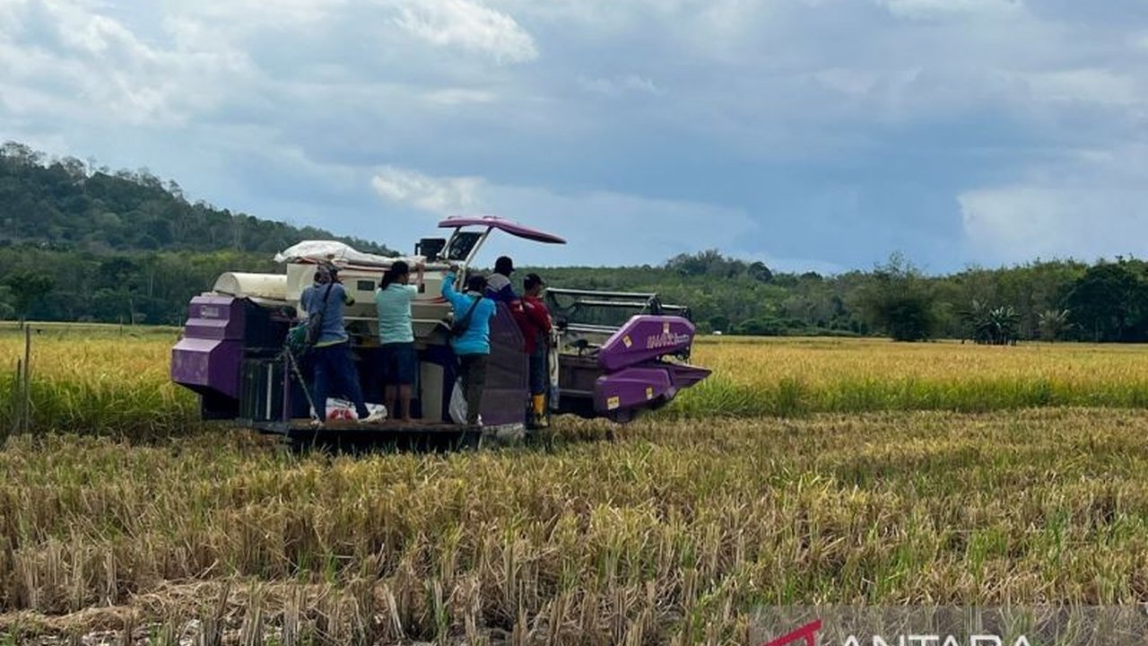 Kementerian Pertanian menargetkan 30 ribu hektare program Cetak Sawah Rakyat Kalsel untuk swasembada pangan. Mampukah target ambisius ini tercapai di tengah tantangan?