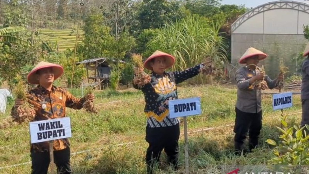 Pemkab Madiun serius menggalakkan budi daya bawang merah untuk menekan inflasi daerah. Simak bagaimana upaya ini juga mendukung program nasional.